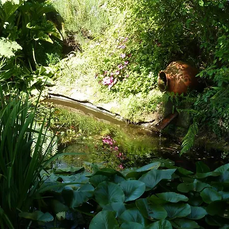 Gasthof Casa San Gines Cruces