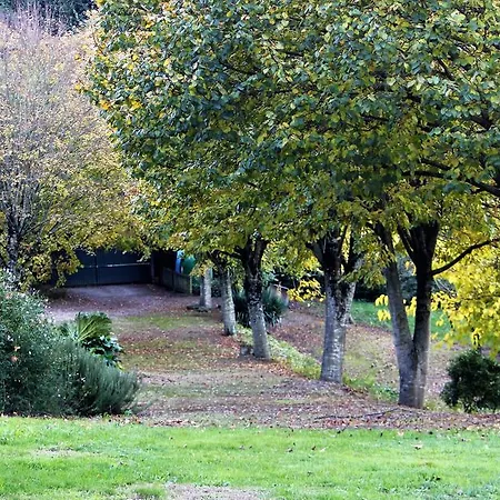 Casa San Gines Gasthof *